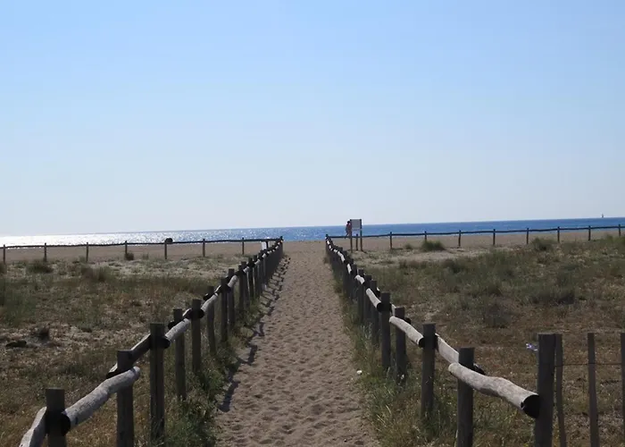 T3 500m Plage, Parking Prive, Animaux Admis - Fr-1-529-298 Le Barcares