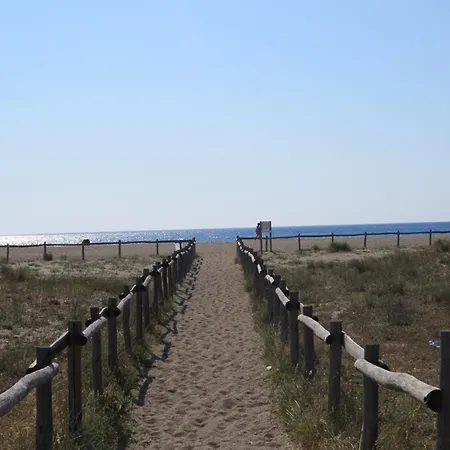 T3 500m Plage, Parking Prive, Animaux Admis - Fr-1-529-298 Le Barcarès